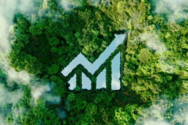 “十五五”期间大小券商怎么干？吴清列出9条任务清单